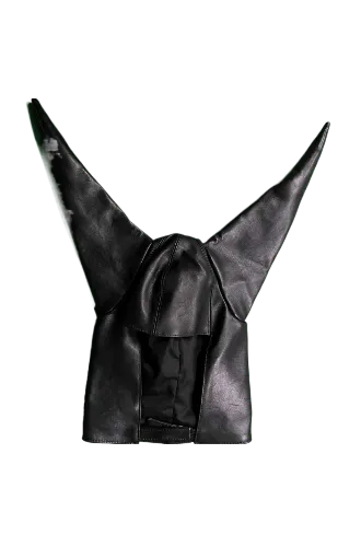 Anonymous Club Dunce Cap