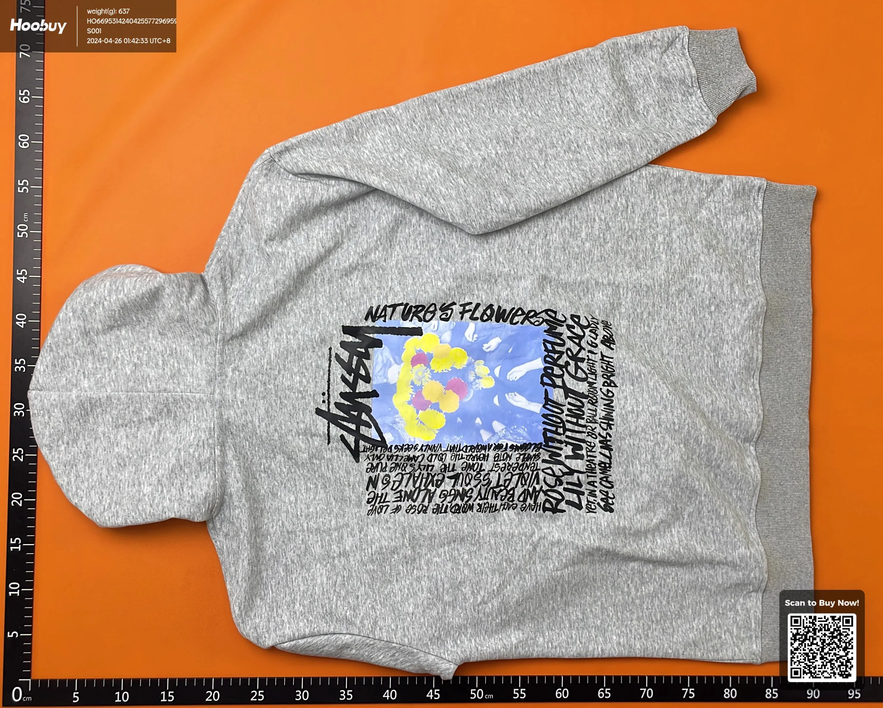 Stussy HOODIES (80+ VARIANTS)