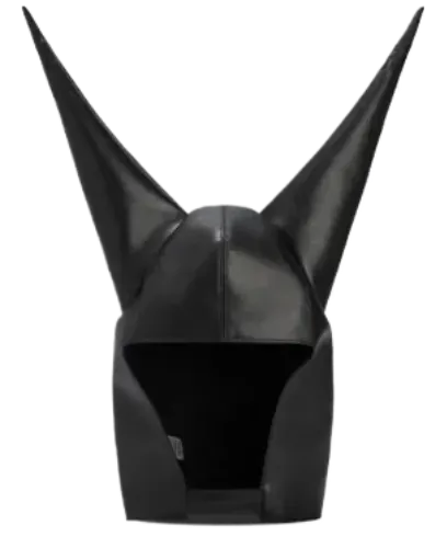 Anonymous Club Dunce Cap