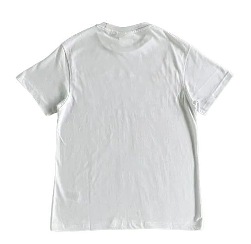 Syna World Ice and Snow Tee
