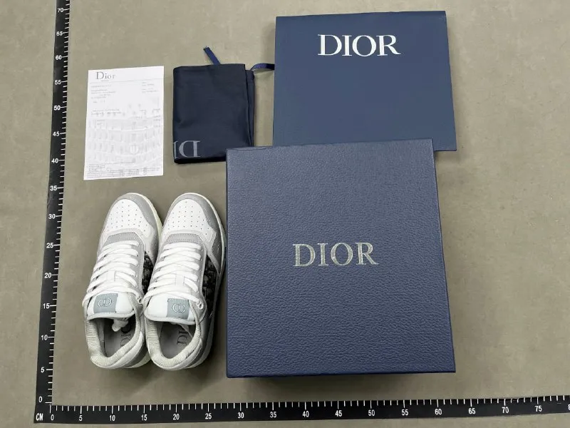 Dior B27